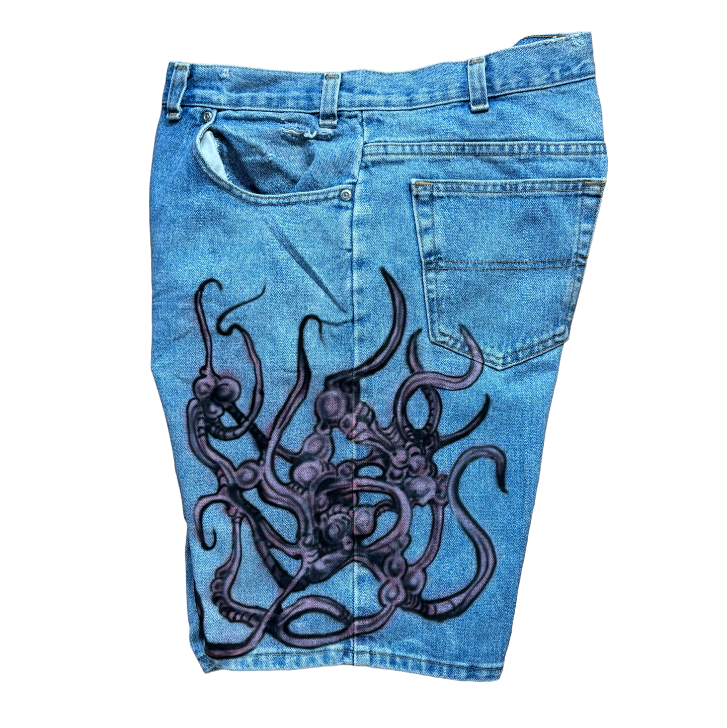 Mech VS Nebula Jorts(38 waist)